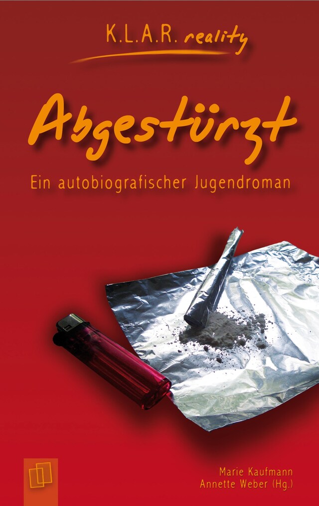 Abgestürzt Buchcover für Abgestürzt