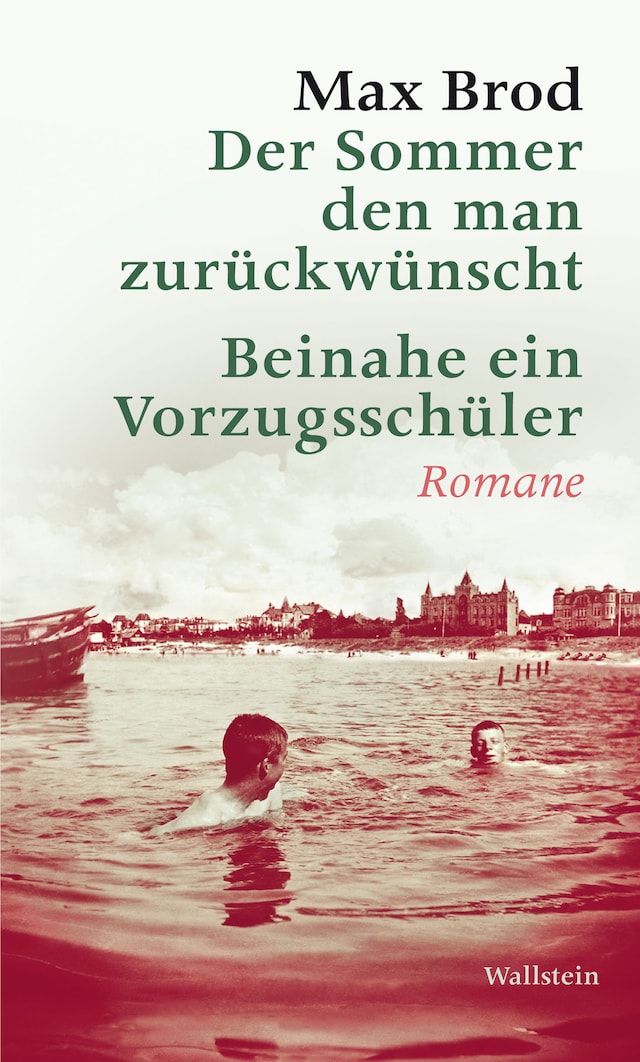 Book cover for Der Sommer den man zurückwünscht / Beinahe ein Vorzugsschüler