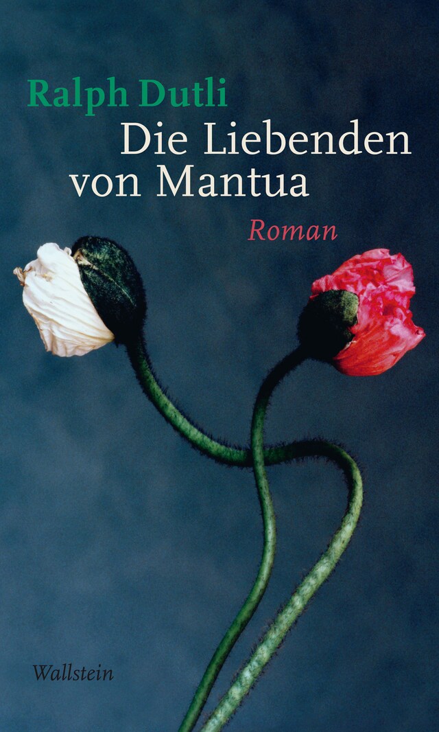 Kirjankansi teokselle Die Liebenden von Mantua