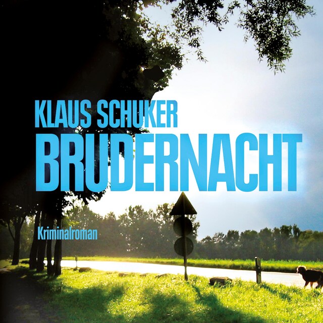 Buchcover für Brudernacht (Ungekürzt)