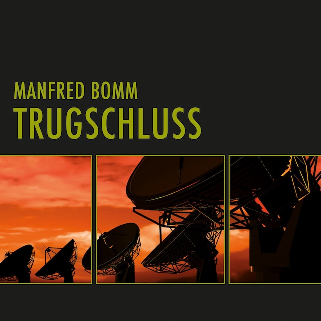 Book cover for Trugschluss (Ungekürzt)
