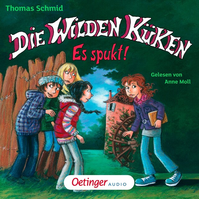 Book cover for Die Wilden Küken 4. Es spukt!
