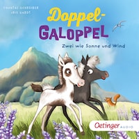 Doppel-Galoppel 1. Zwei wie Sonne und Wind