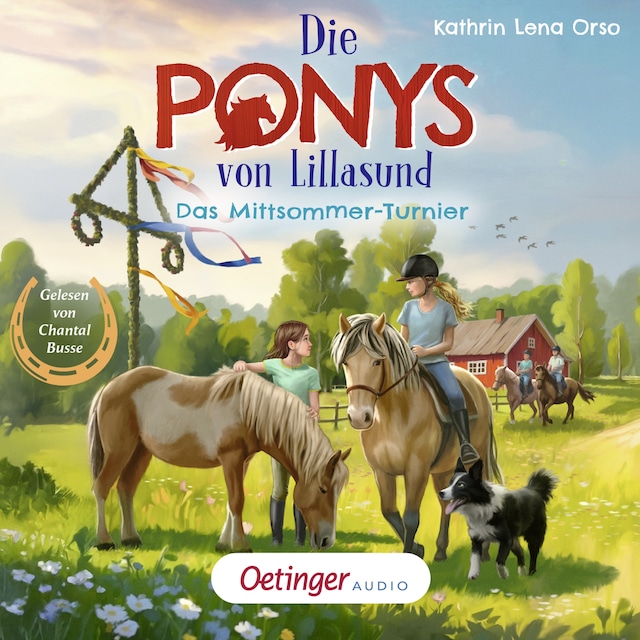 Buchcover für Die Ponys von Lillasund 4. Das Mittsommer-Turnier
