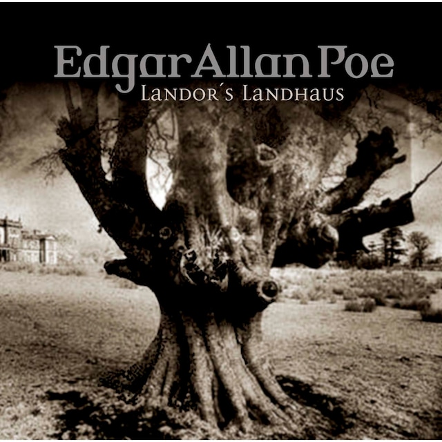 Bokomslag for Edgar Allan Poe, Folge 27: Landor's Landhaus