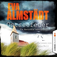 Ostseefeuer - Pia Korittkis zehnter Fall - Kommissarin Pia Korittki 10 (Gekürzt)