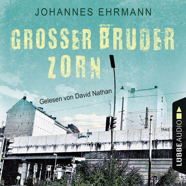 Book cover for Großer Bruder Zorn