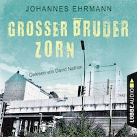 Großer Bruder Zorn (Ungekürzt)