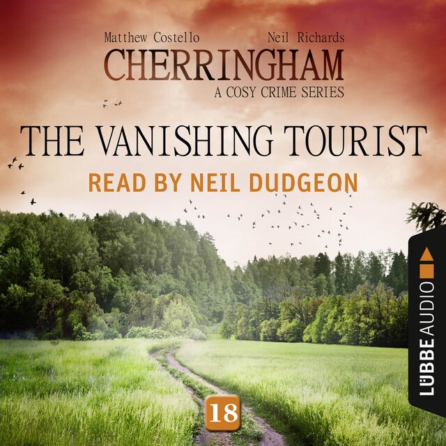 Buchcover für The Vanishing Tourist