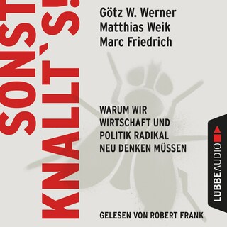 Sonst knallt's! - Warum wir Wirtschaft und Politik radikal neu denken müssen als Hörbuch