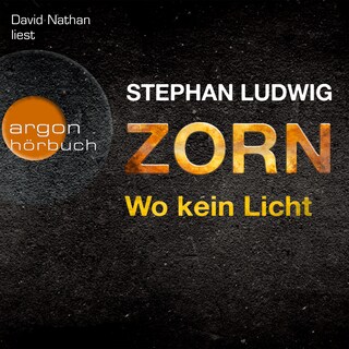 Wo kein Licht - Zorn, Band 3 (Autorisierte Lesefassung) als Hörbuch