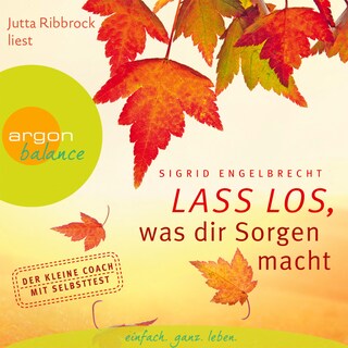 Lass los, was dir Sorgen macht (Gekürzte Fassung) als Hörbuch