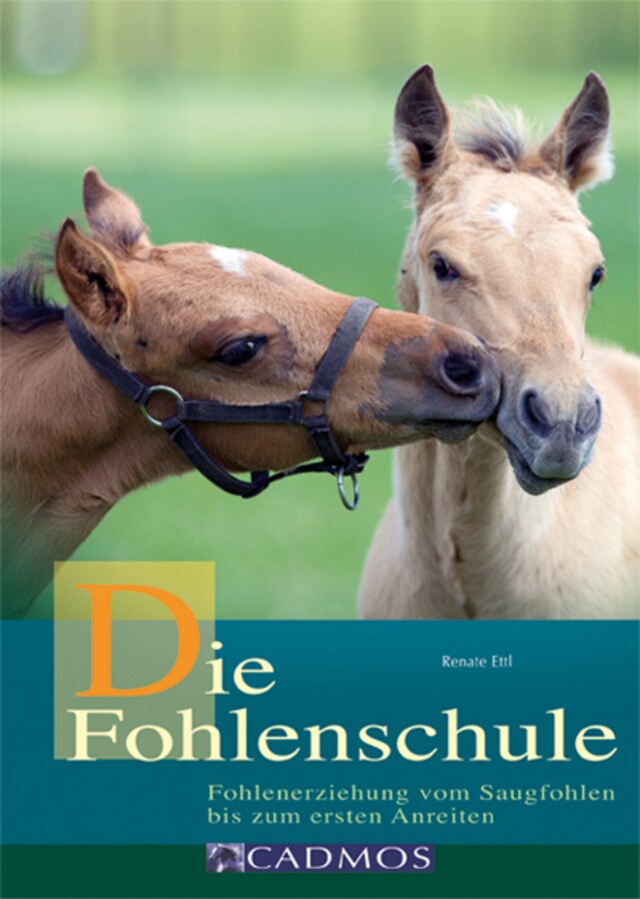 Portada de libro para Die Fohlenschule