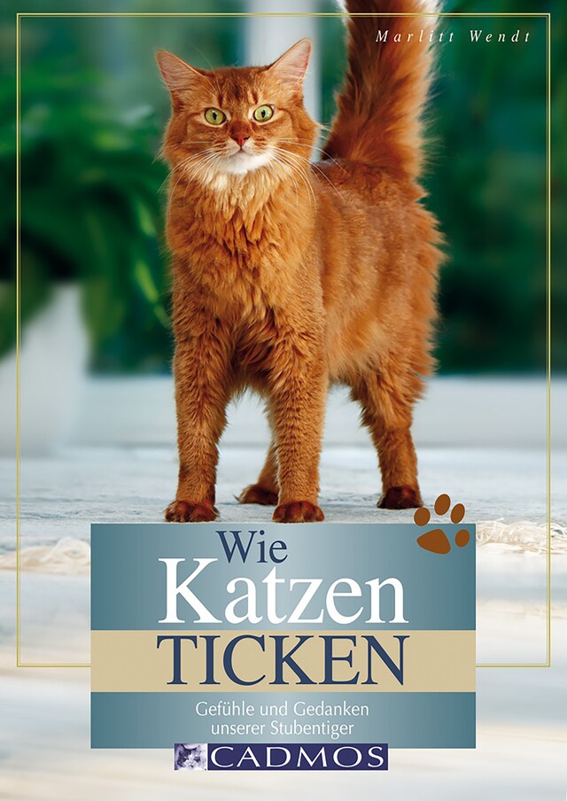 Boekomslag van Wie Katzen ticken