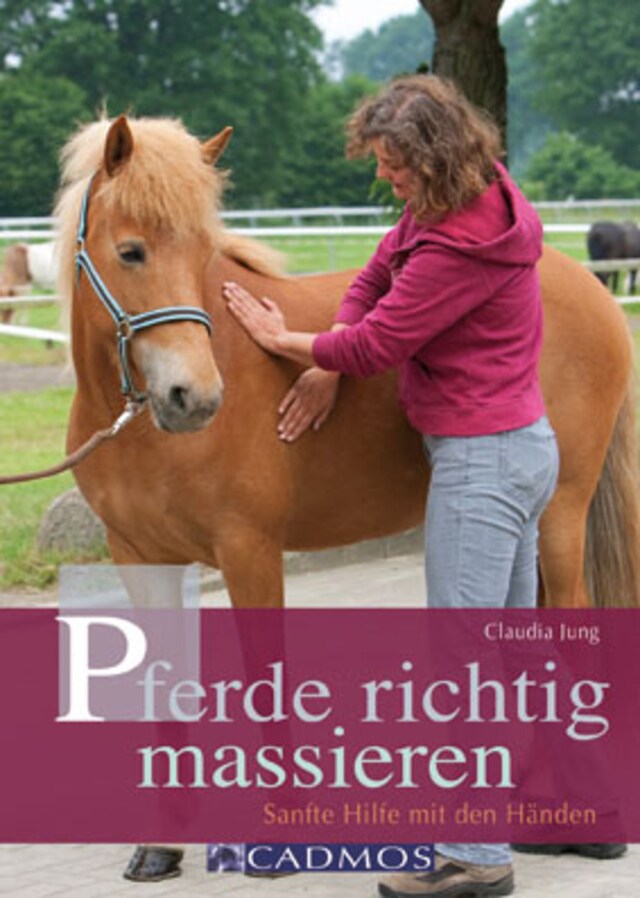 Buchcover für Pferde richtig massieren