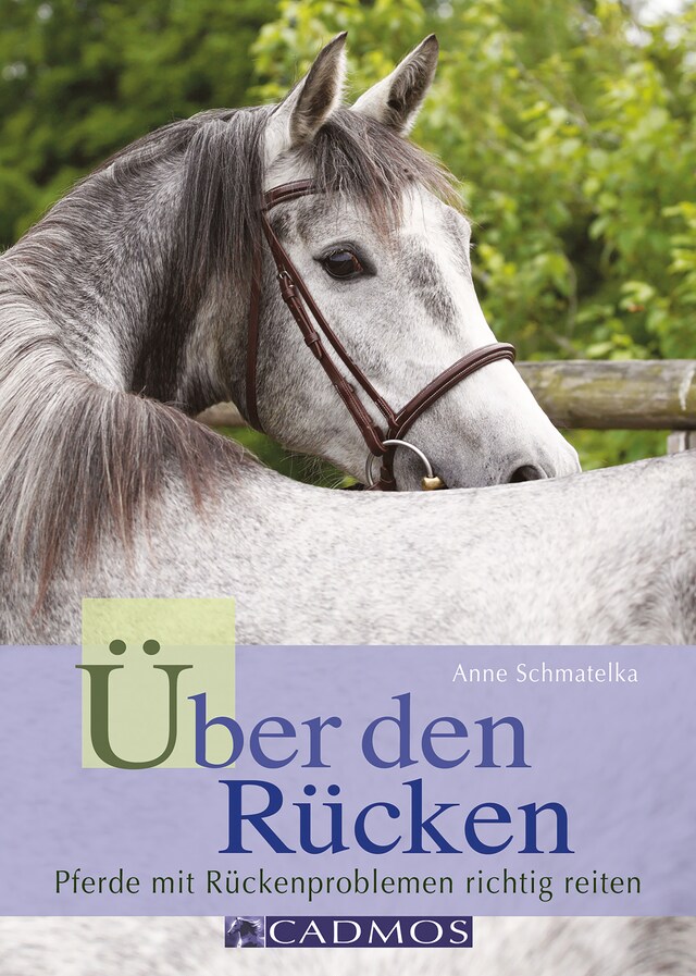 Book cover for Über den Rücken