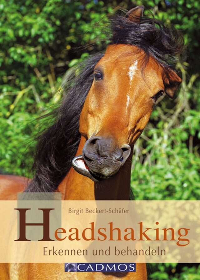 Kirjankansi teokselle Headshaking