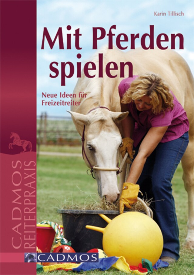 Book cover for Mit Pferden spielen