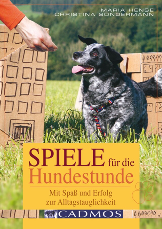 Book cover for Spiele für die Hundestunde