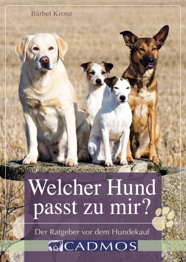 Book cover for Welcher Hund passt zu mir?