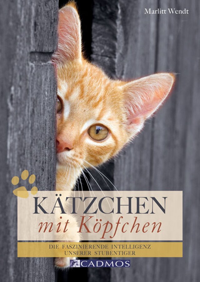 Portada de libro para Kätzchen mit Köpfchen