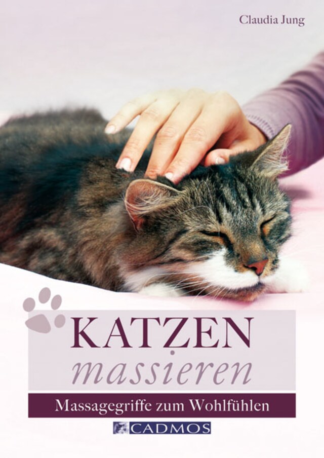 Portada de libro para Katzen massieren