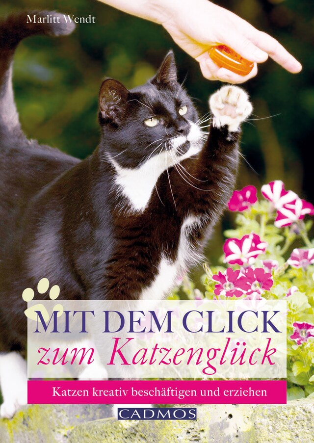 Copertina del libro per Mit dem Click zum Katzenglück