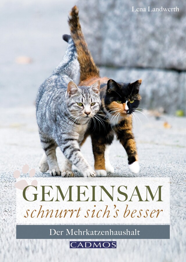 Portada de libro para Gemeinsam schnurrt sich's besser