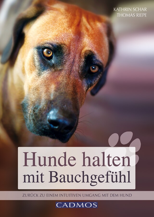 Kirjankansi teokselle Hunde halten mit Bauchgefühl