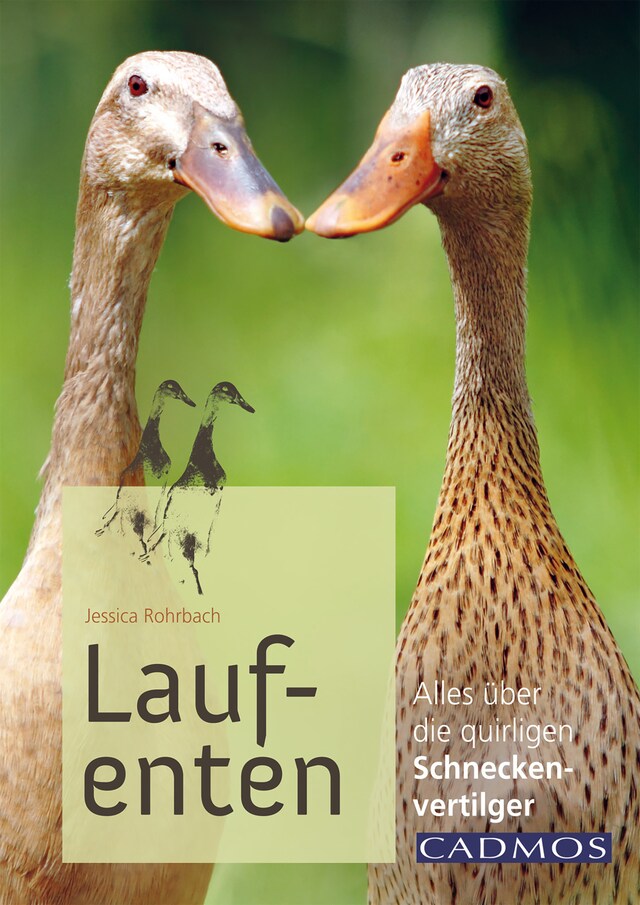 Couverture de livre pour Laufenten