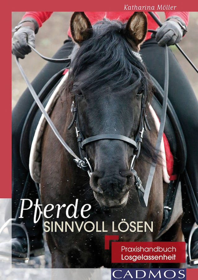 Book cover for Pferde sinnvoll lösen