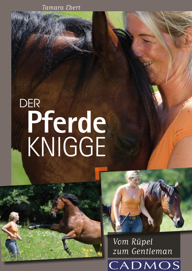 Buchcover für Der Pferde-Knigge