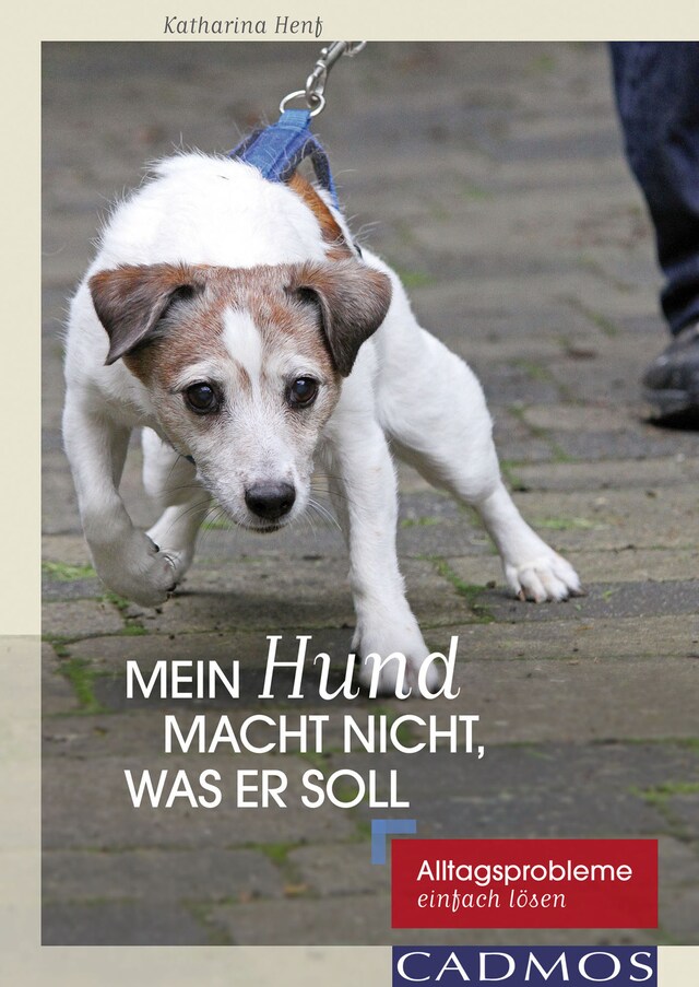 Book cover for Mein Hund macht nicht, was er soll