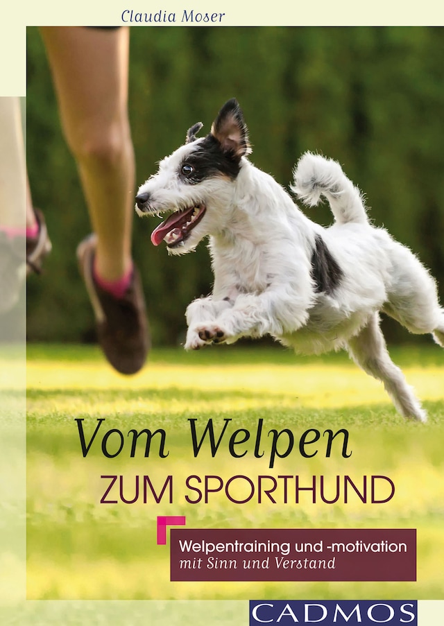 Book cover for Vom Welpen zum Sporthund