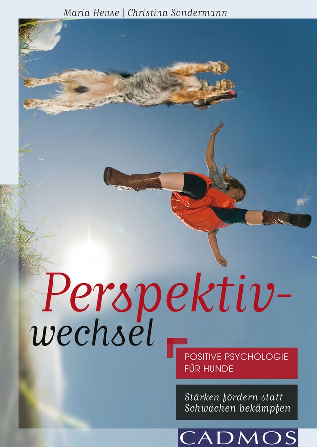 Copertina del libro per Perspektivwechsel