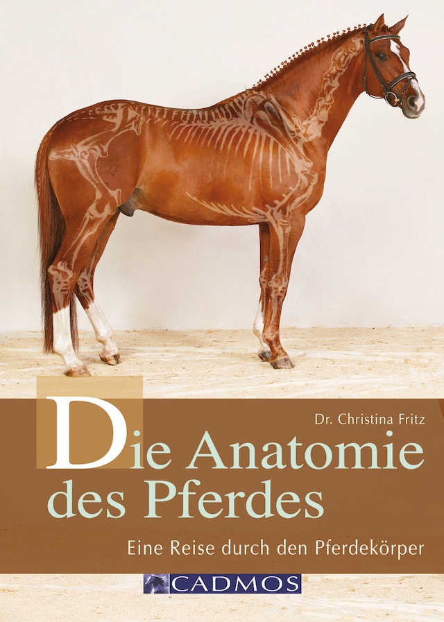 Buchcover für Die Anatomie des Pferdes
