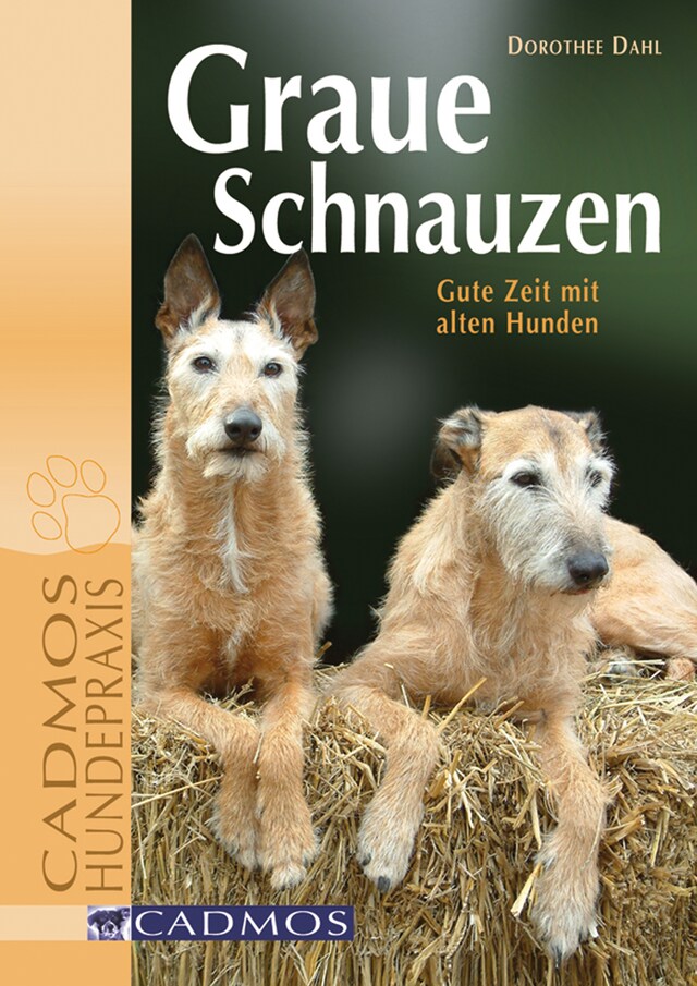 Book cover for Graue Schnauzen