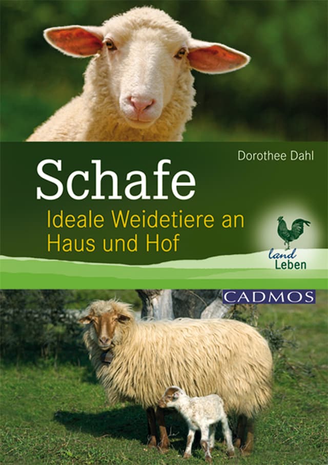 Buchcover für Schafe