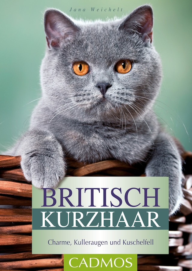 Buchcover für Britisch Kurzhaar