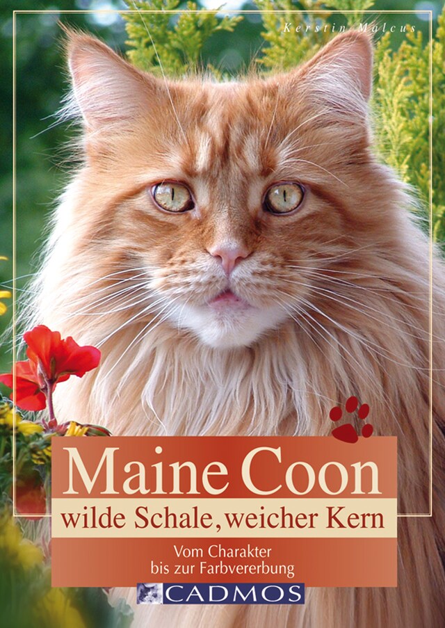 Buchcover für Maine Coon - Wilde Schale weicher Kern