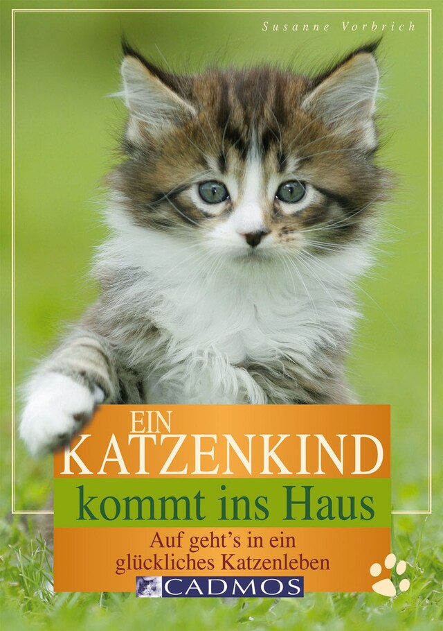 Couverture de livre pour Ein Katzenkind kommt ins Haus