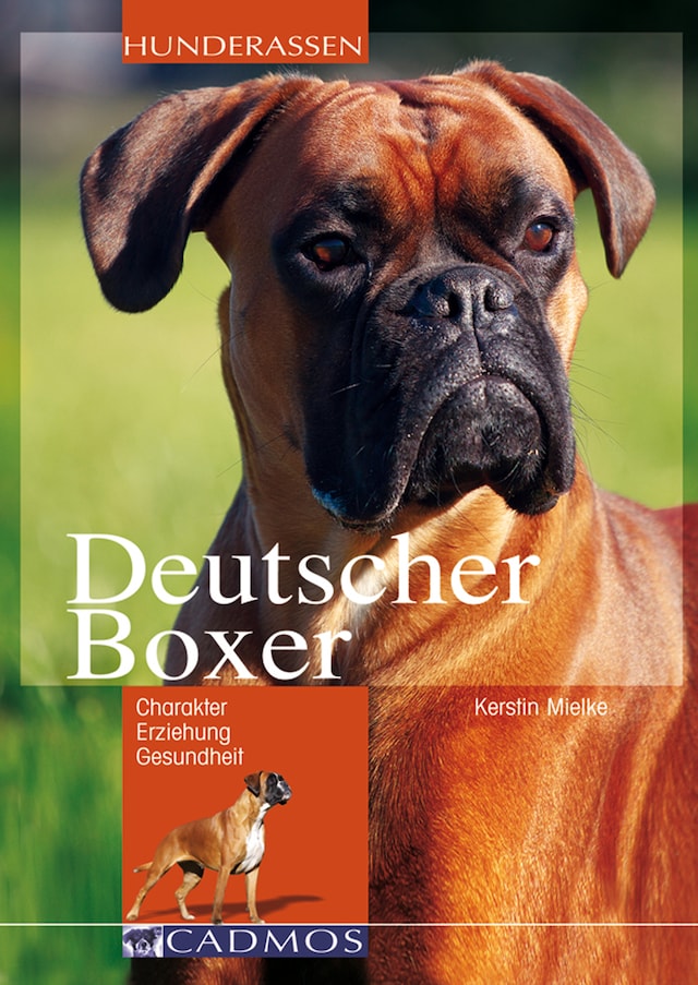 Buchcover für Deutscher Boxer