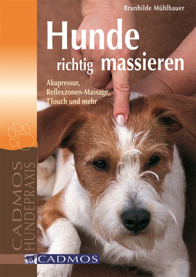 Book cover for Hunde richtig massieren