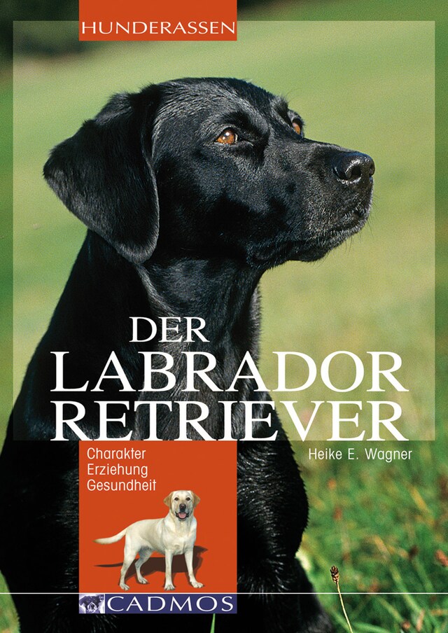 Bokomslag for Labrador Retriever