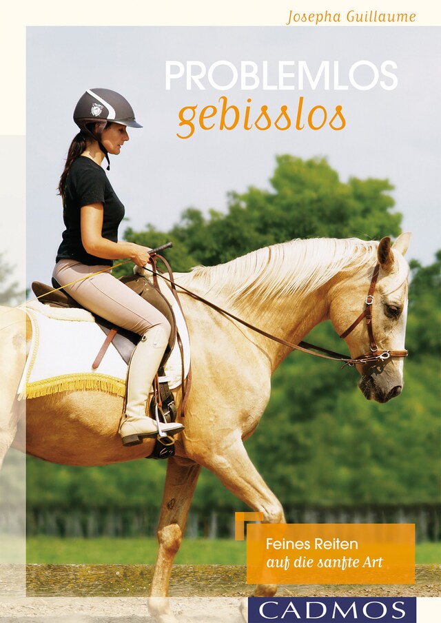 Book cover for Problemlos gebisslos