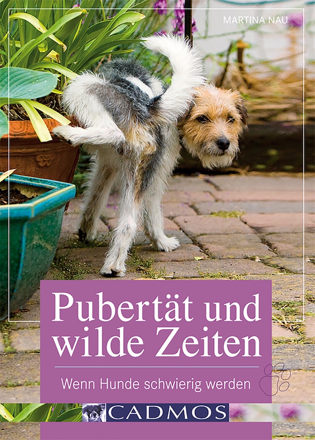 Copertina del libro per Pubertät und wilde Zeiten