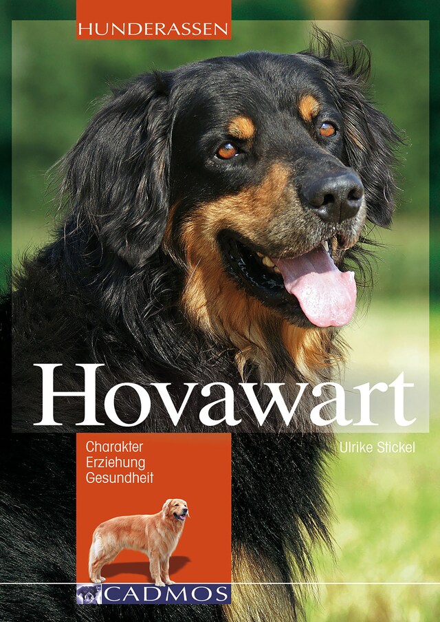 Buchcover für Hovawart