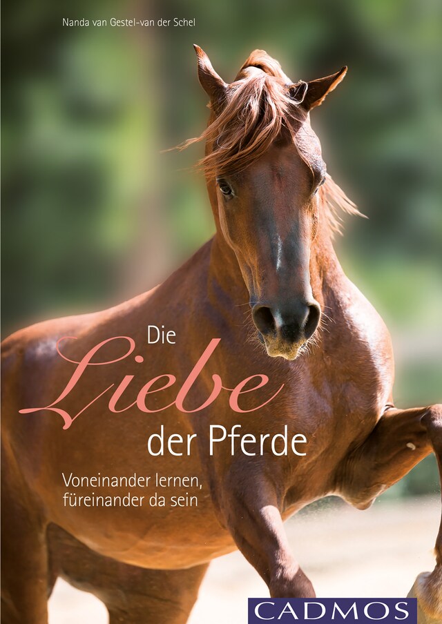 Couverture de livre pour Die Liebe der Pferde