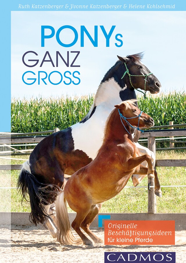 Book cover for Ponys ganz groß