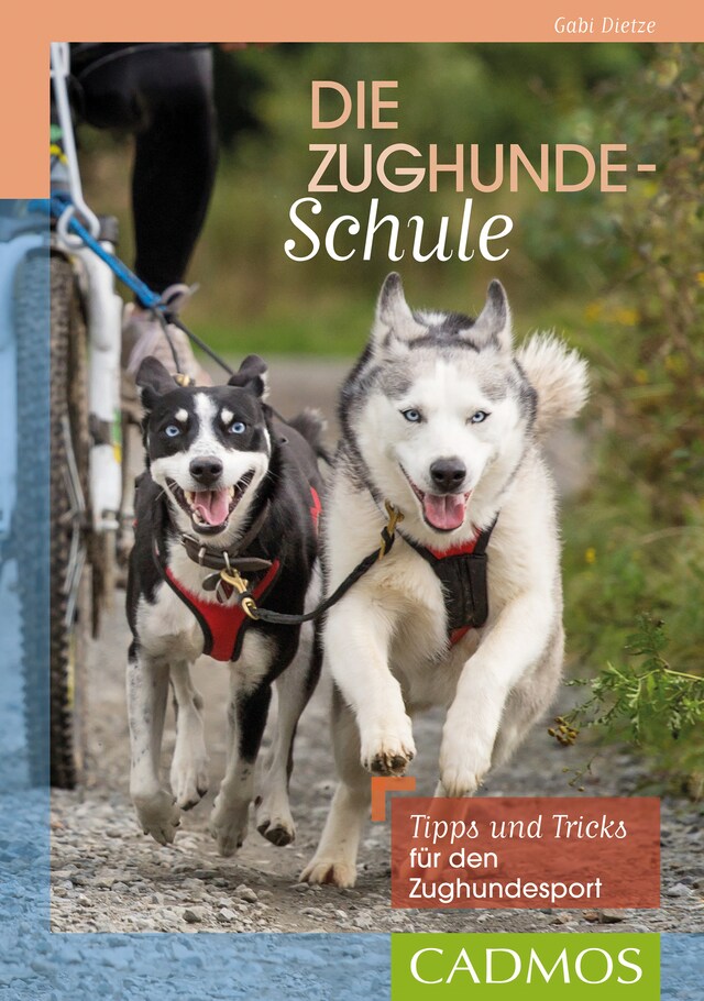 Book cover for Die Zughunde-Schule